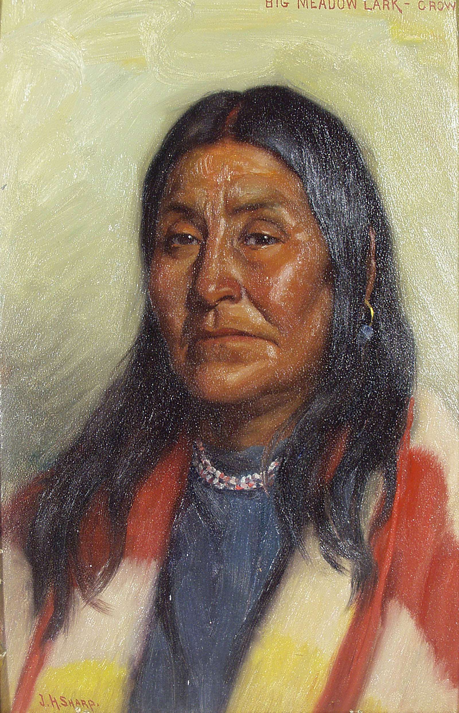 Big Meadow Lark - Crow